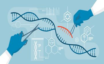 七上生物工作计划参考6篇