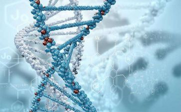 生物实验课心得8篇