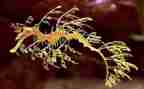 八上生物教学计划最新5篇