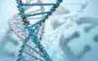 生物实验课心得8篇