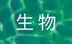 八上生物教学计划6篇