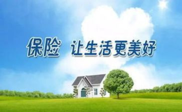 保险半年工作总结2023精选8篇