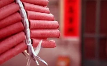 过年不放鞭炮的倡议书6篇