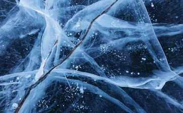 关于冰箱作文参考6篇