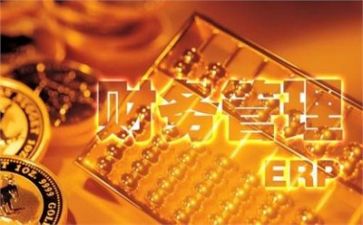 局财务处工作总结8篇