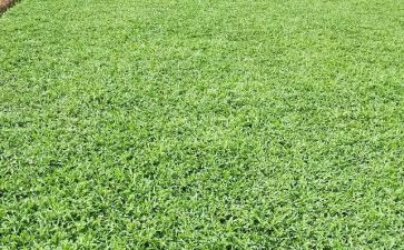 烟草述职述廉报告5篇