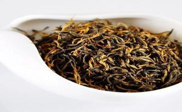 茶文化活动心得6篇