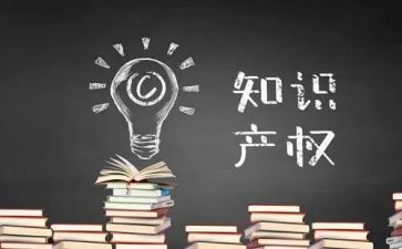 知识产权公司工作总结6篇
