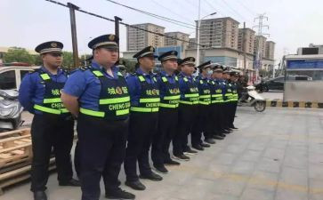 城管科个人工作总结模板8篇