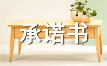 工地安全施工承诺书7篇