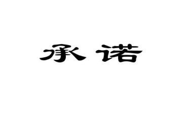 书记承诺书5篇