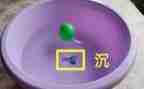 沉与浮教案小结8篇