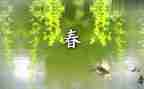 春节活动策划精选7篇