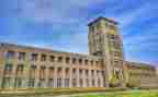 大二学年自我鉴定1000字5篇