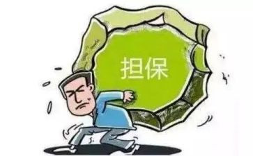 担保公司年度总结6篇