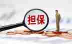 担保公司工作总结个人6篇