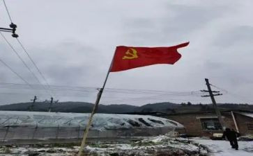 企业党员转正申请书范文8篇