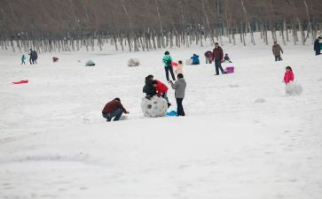 打雪仗作文500字8篇