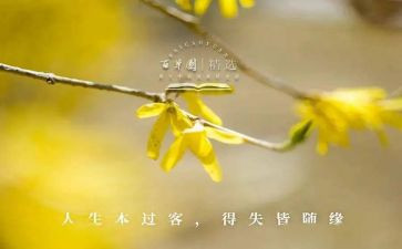 疫情的得与失作文精选7篇