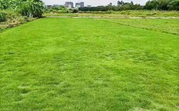 房地产财务工作年工作计划7篇