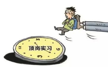 顶岗学生个人总结精选7篇