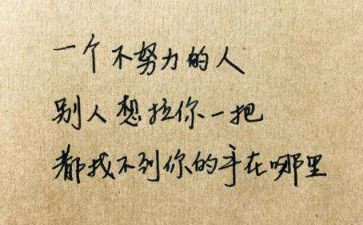 我懂了......作文5篇
