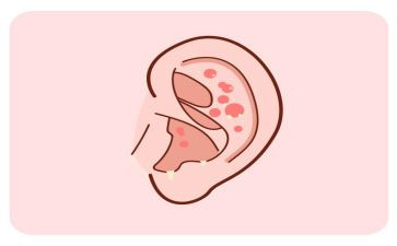 一年级语文《口耳目》教案6篇