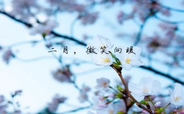 二月份小班工作总结5篇