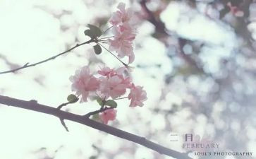 二月工作总结优秀5篇