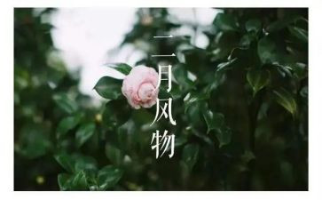 二月销售工作总结7篇