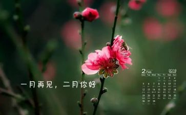 教师十二月工作总结8篇