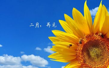 十二月份心得5篇