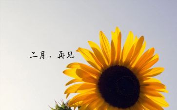 2024年幼儿园十二月份工作总结优质5篇