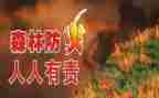119防火安全培训心得5篇