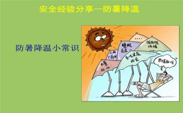 公司防暑降温活动方案5篇