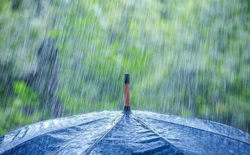 “风雨”作文参考5篇