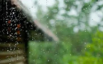 暴风雨作文8篇