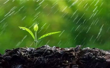 作文《风雨》600字通用8篇
