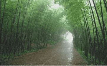 风雨的作文600字作文7篇