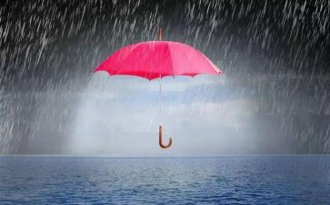 “风雨”作文最新8篇
