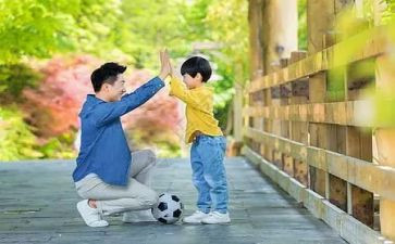 父与子读后感400字作文最新8篇