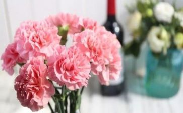 感恩老师的真演讲稿350模板6篇