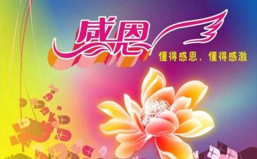 作文我感恩的人500字模板5篇