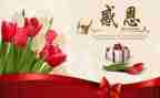 感恩课+演讲稿优质7篇