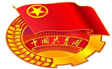 共青团的工作总结8篇