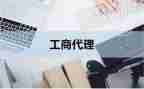 工商记个人工作总结7篇