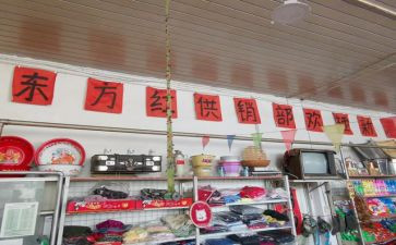 2024年乡镇供销社工作总结6篇