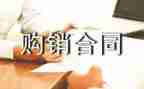 服装导购销售工作总结7篇