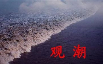 观潮读后感30字优秀5篇