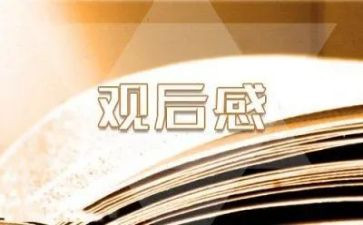 后厨观后感优秀6篇